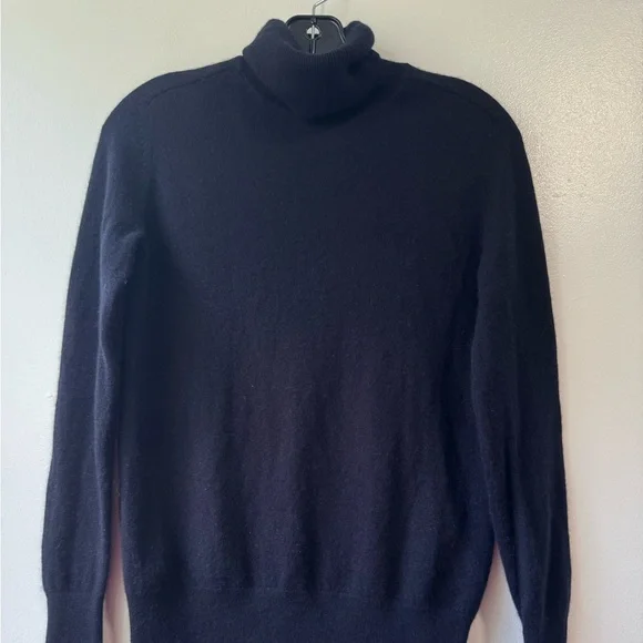 Everlane Cashmere Blue Turtleneck Sweater